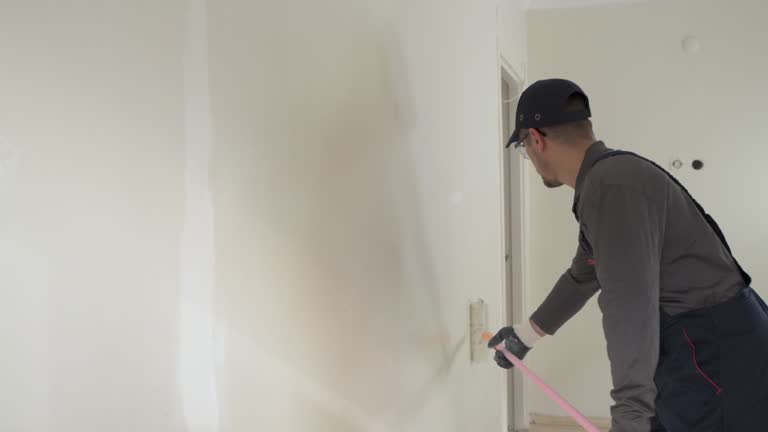 Best Drywall Sanding and Smoothing  in St Peters, MO